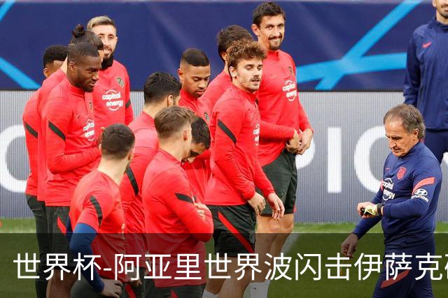 世界杯-阿亚里世界波闪击伊萨克破门 半场瑞典2-1突尼斯