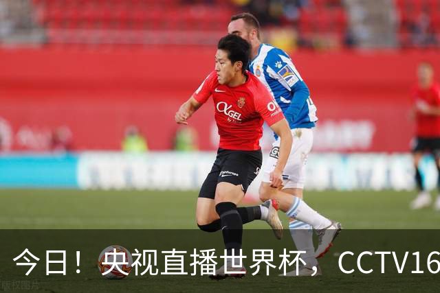 今日！央视直播世界杯，CCTV16转中超，网络转大连鲲城+可为+U17中国男篮+F1等