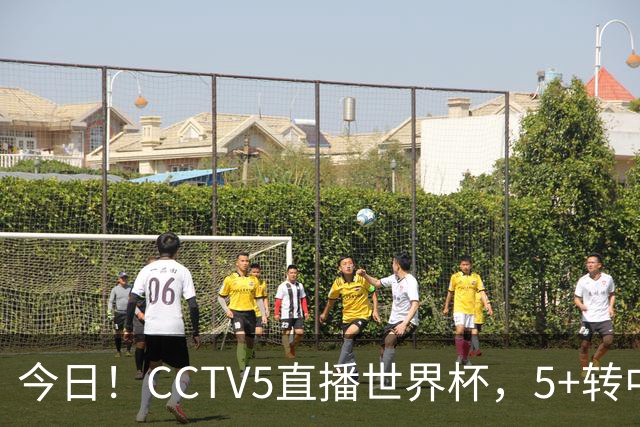今日！CCTV5直播世界杯，5+转中国男篮VS日本+国乒孙颖莎和王楚钦出战+温网，网络转中超+F1